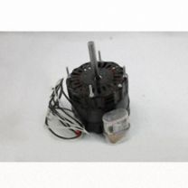 MOT7943.jpg
